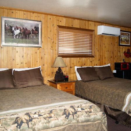 Flamingo Motel 科达伦 外观 照片